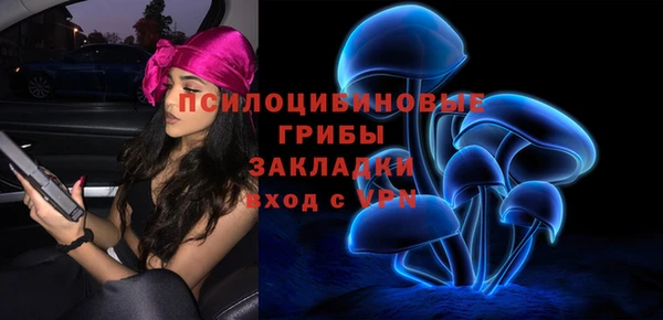 бутират Алзамай
